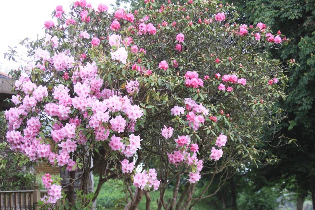 Devon Country Paradise 태비스톡 외부 사진