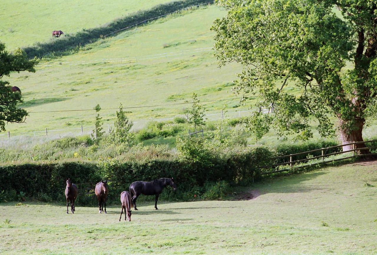 Devon Country Paradise 태비스톡 외부 사진