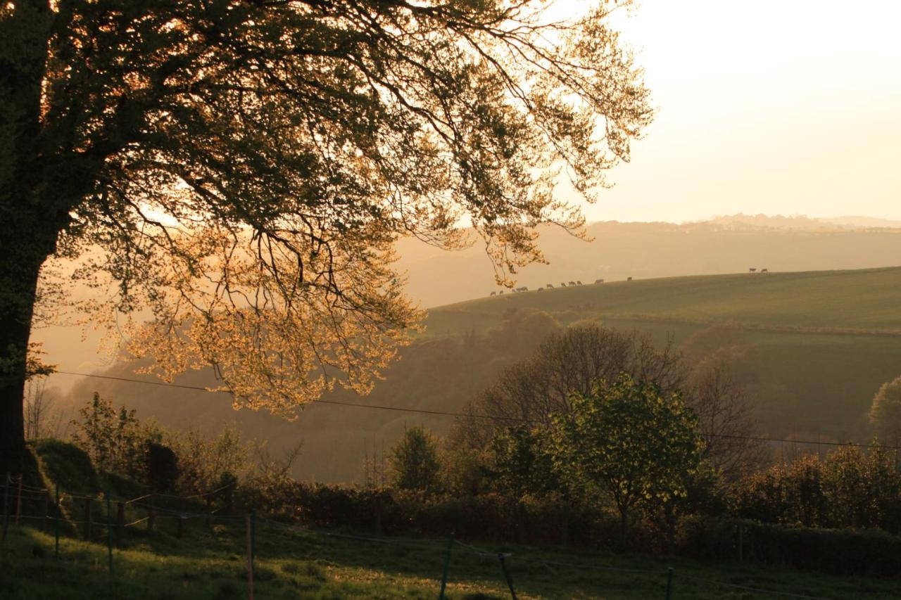 Devon Country Paradise 태비스톡 외부 사진