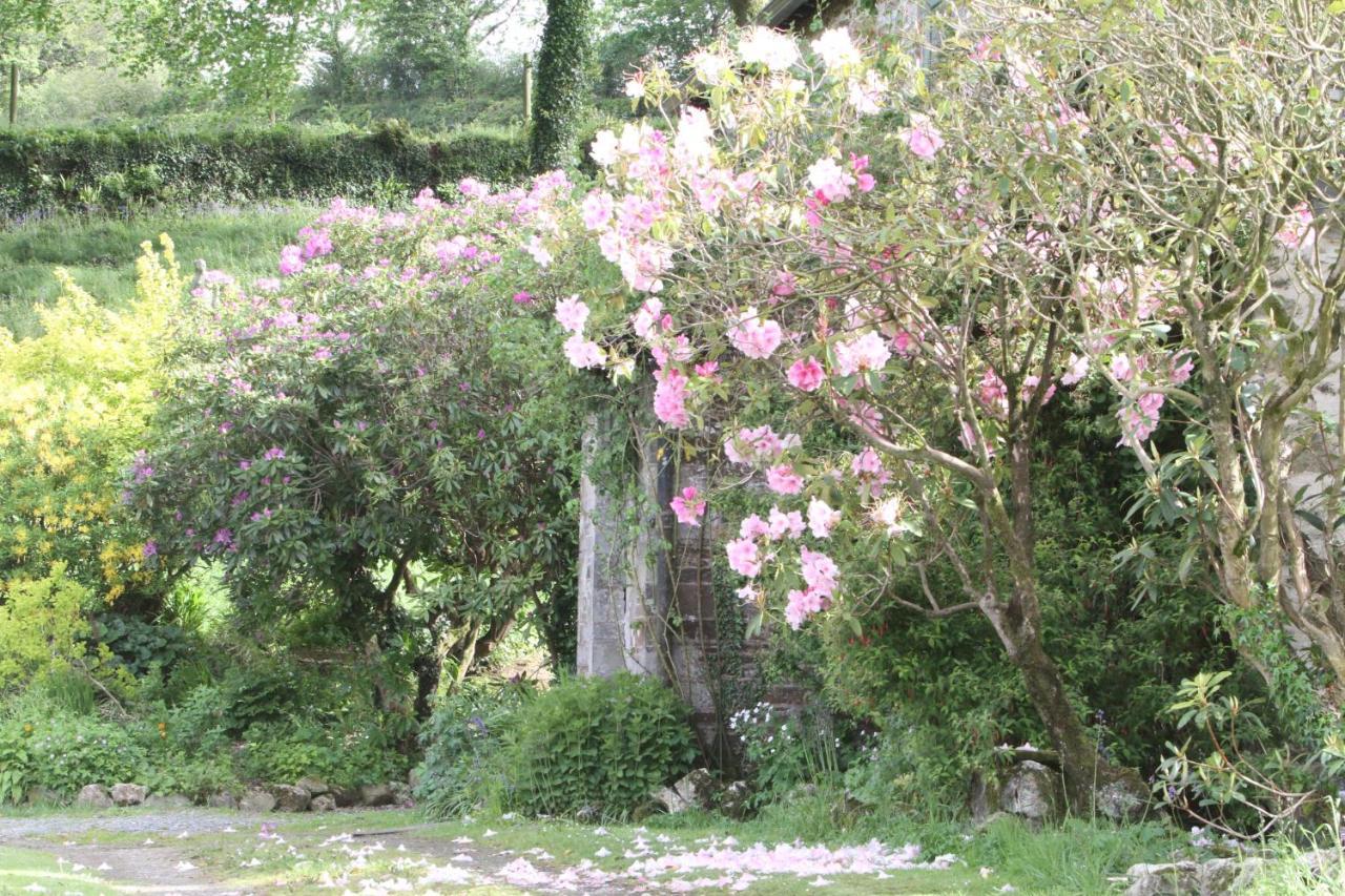Devon Country Paradise 태비스톡 외부 사진